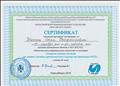 Сертификат подтверждающий краткосрочное обучение в ГБОУ ДПО НСО "Областной центр информационных технологий"